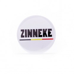 Miroir Zinneke
